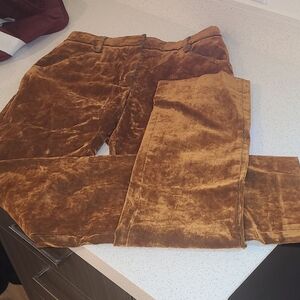Luxurious Velvet Skinny Pants in Warm Tan
